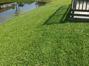 April W.'s lawn maintenance service result