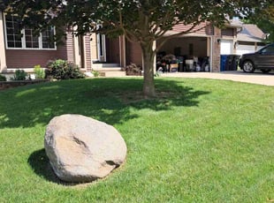 Tammy S.'s turf care service result