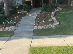 Phyllis J.'s turf care service result