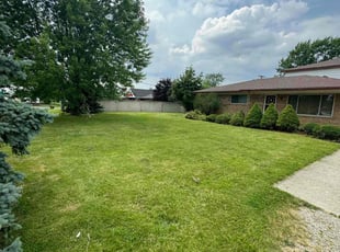 Wanda M.'s lawn care service result