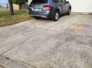 Rekha M.'s grass maintenance service result