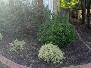 Pamela H.'s Flower Bed Weeding service result