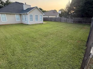 Mary P.'s lawn maintenance service result