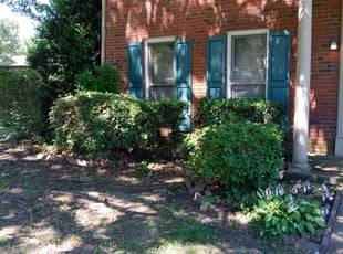 Lori A.'s Bush Trimming service result