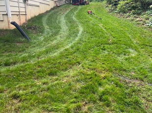 Ann V.'s grass cutting service result