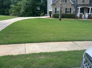 Bryon A.'s turf care service result