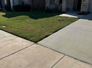 Tammy T.'s lawn care services service result