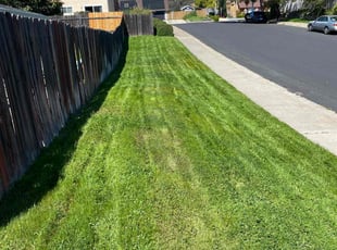 Shellise C.'s lawn care services service result