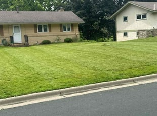 Barry N.'s lawn care services service result