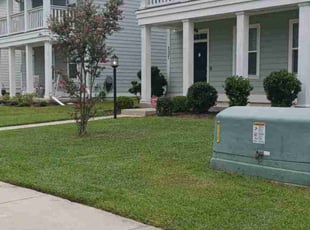 Matthew S.'s grass cutting service result