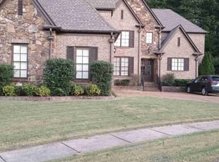 Ivan S.'s grass cutting service result