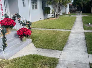 Lyle G.'s lawn service service result