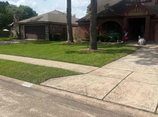 Jeremy D.'s turf care service result