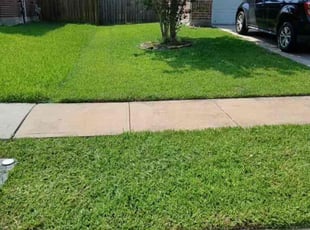 Barbara S.'s lawn maintenance service result