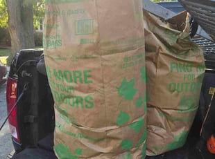 Christine C.'s turf care service result