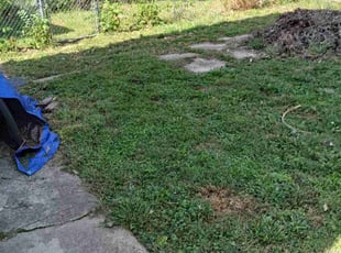 Cassaundra R.'s lawn maintenance service result