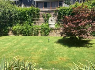 Isaiah S.'s grass cutting service result