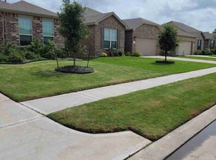 Steve H.'s lawn care services service result