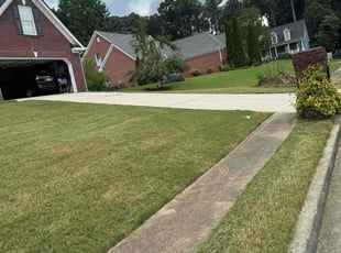 Jeannette L.'s grass cutting service result