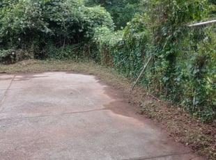 Phillip R.'s Bush Trimming service result