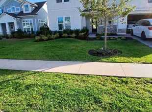 Tory H.'s lawn care services service result