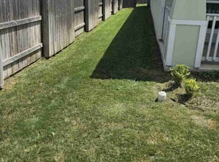 Clifton W.'s turf care service result