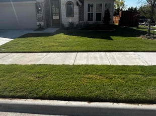 Sheila W.'s lawn service service result