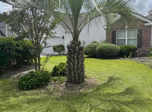 Kendra R.'s Tree Care service result