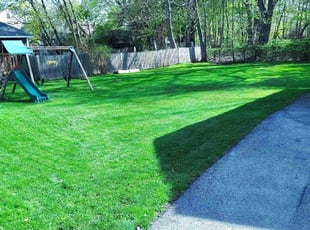 Max D.'s lawn service service result