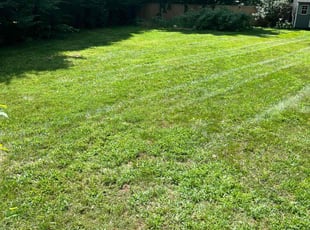 Erik s.'s lawn care service result
