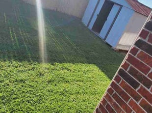 Sonya G.'s lawn maintenance service result