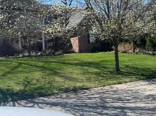 Lori D.'s turf care service result