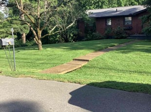 Estrella B.'s turf maintenance service result