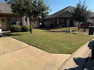 Brigitte P.'s lawn service service result