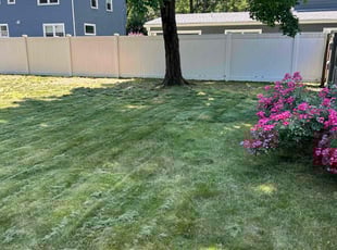 David W.'s turf maintenance service result