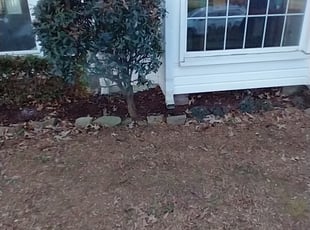 Megan S.'s Bush Trimming service result