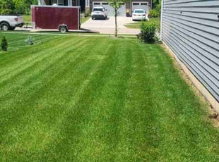 Diana K.'s turf maintenance service result