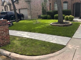 Charles B.'s lawn service service result