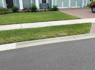 Martin F.'s turf care service result