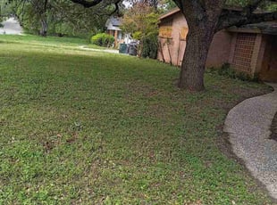 Taylor P.'s lawn maintenance service result