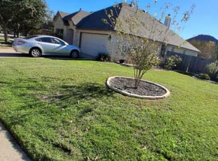 Maureen P.'s grass cutting service result