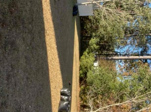 Francis T.'s Leaf Removal service result