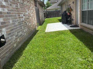 Devin M.'s lawn care service result