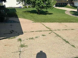 Tom J.'s lawn maintenance service result