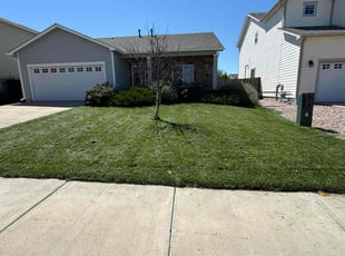 Jean H.'s lawn maintenance service result