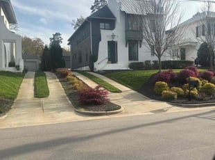 Douglas M.'s lawn service service result