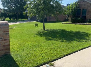 Rachael C.'s lawn maintenance service result
