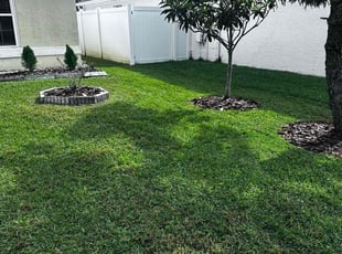 Jacqueline A.'s turf care service result
