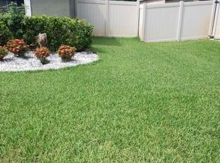 Maiesha P.'s lawn maintenance service result