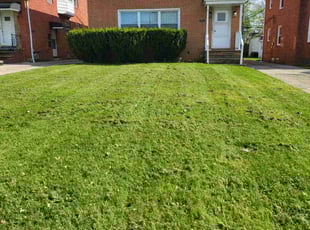 Brooke B.'s lawn maintenance service result